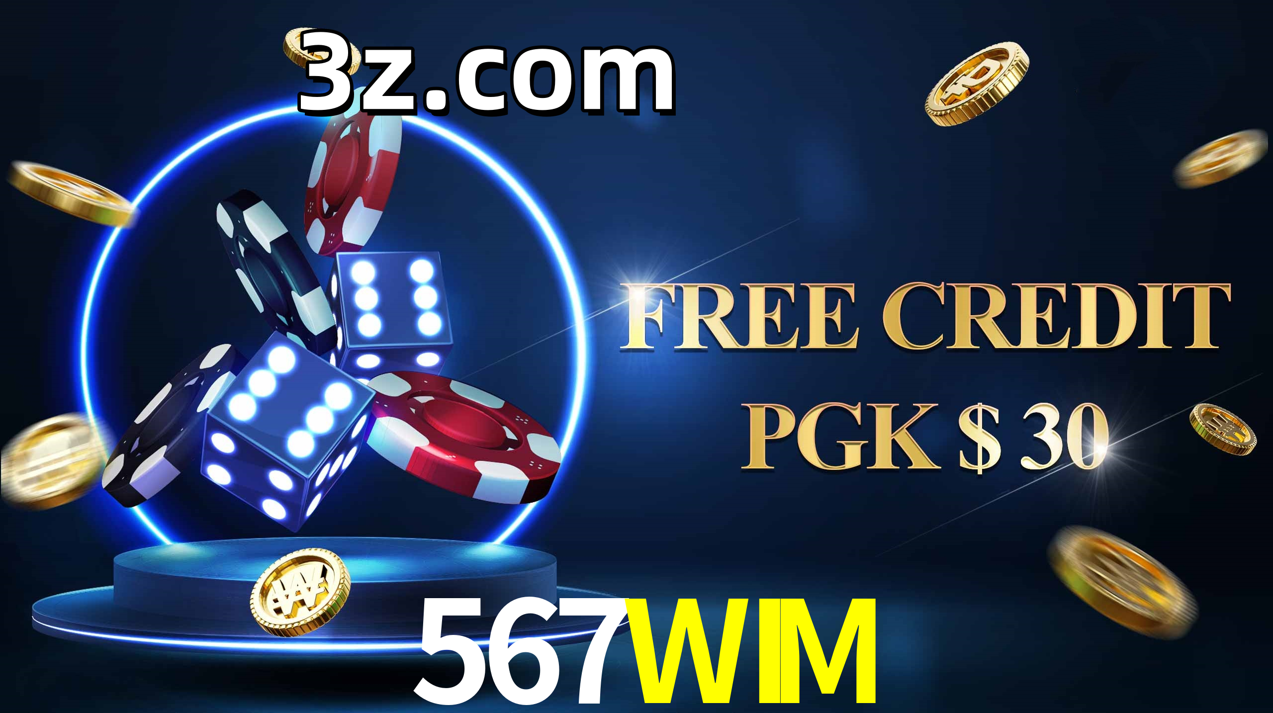 567WIM